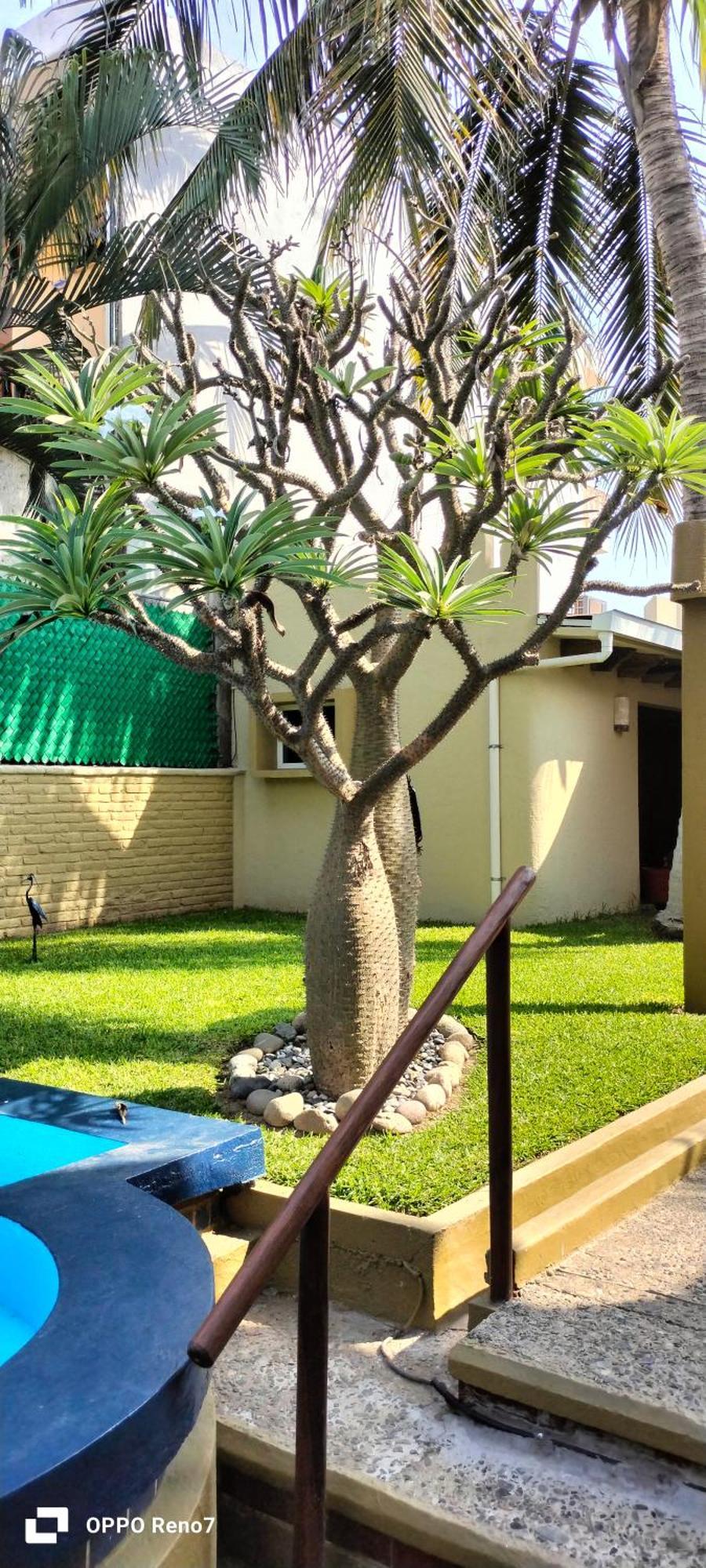 Villas Miramar Zihuatanejo Exterior photo